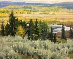 Buffalo Valley Overlook 11x14