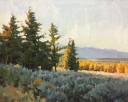 Evening Light 11x14