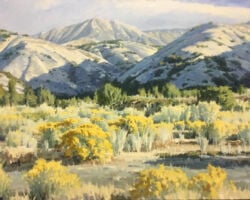High Desert 30x40