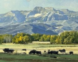 Grazing Pastures - 16x20